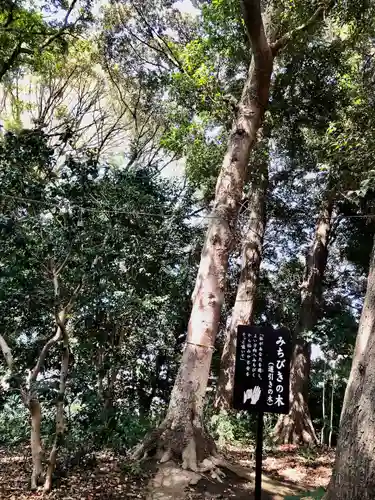 鶴嶺八幡宮の自然