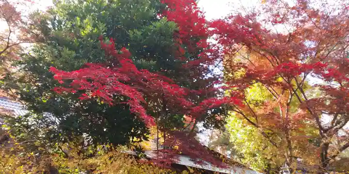 梨木神社の自然