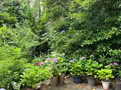 大綱金刀比羅神社(神奈川県)