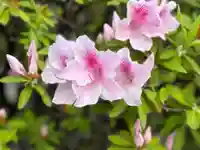 西方山極楽寺(岐阜県)