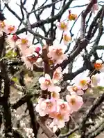 瑞泉寺(神奈川県)