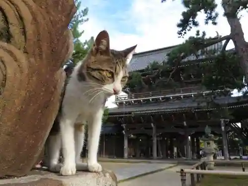 智恩寺(京都府)