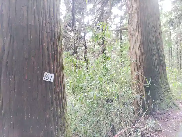 武蔵御嶽神社(東京都)