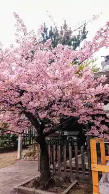 新宿下落合氷川神社の自然