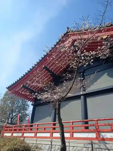 高幡不動尊　金剛寺(東京都)