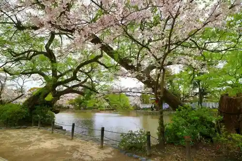 鶴岡八幡宮の自然