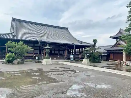 大通寺（長浜御坊）の本殿