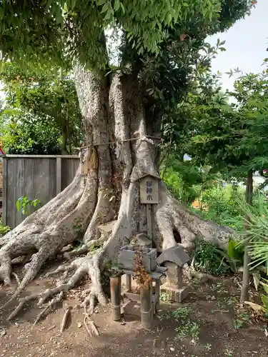 園生神社(千葉県)
