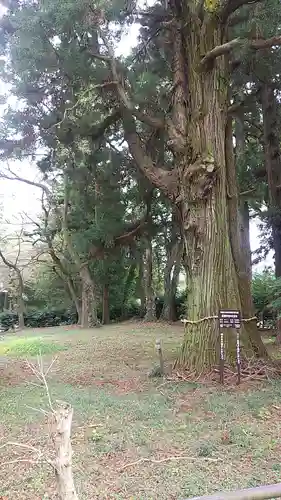 那須神社の自然