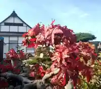 雨竜 専福寺(北海道)