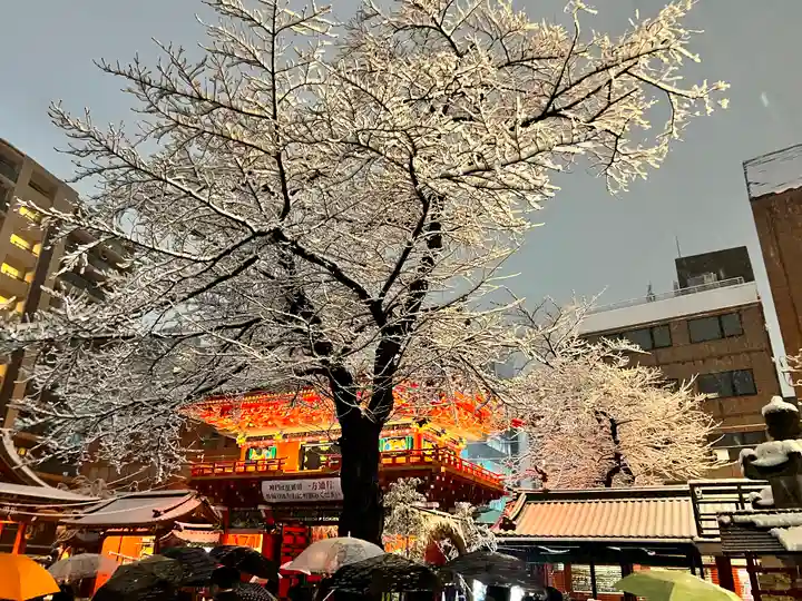 神田神社(神田明神)の自然