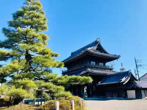 大通寺（長浜御坊）の建物その他