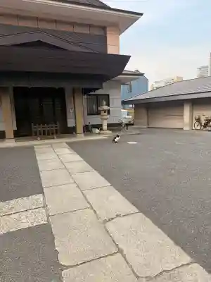 白金氷川神社の{uncategorized: "未分類", other: "その他", undefined: "問題あり", building: "その他建物", grave: "お墓", sacred_gate: "鳥居", guardian: "狛犬", statue: "像", buddha: "仏像", history: "歴史", nature: "自然", garden: "庭園", animal: "動物", pagoda: "塔", temizu: "手水舎", mountain_gate: "山門・神門", sanctuary: "本殿・本堂", subordinate: "末社・摂社", art: "芸術", scenery: "景色", jizo: "地蔵", ema: "絵馬", goshuin: "御朱印", omikuji: "おみくじ", items: "授与品その他", amulet: "お守り", goshuincho: "御朱印帳", eats: "食事", festival: "お祭り", votive_dance: "神楽", shichigosan: "七五三参", wedding: "結婚式", experience: "体験その他", initially: "初詣", around: "周辺", anti_infection: "感染症対策"}