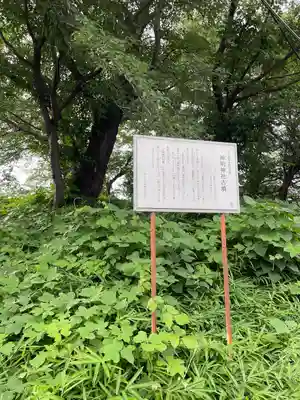 関神明神社(埼玉県)