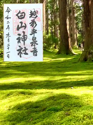 平泉寺白山神社の御朱印