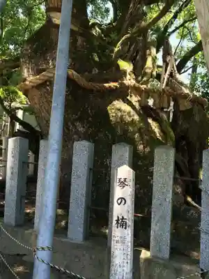 櫛田宮(佐賀県)