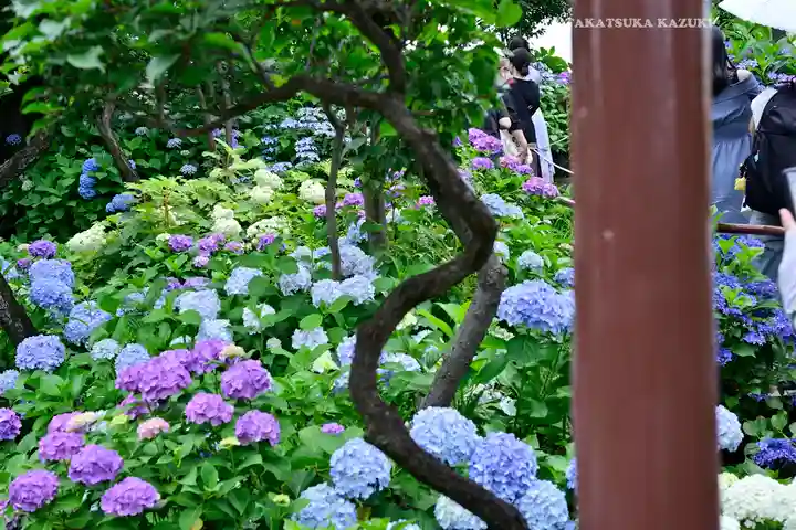 白山神社(東京都)