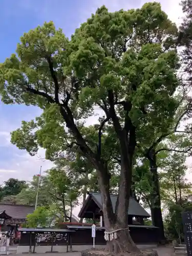 玉村八幡宮の庭園