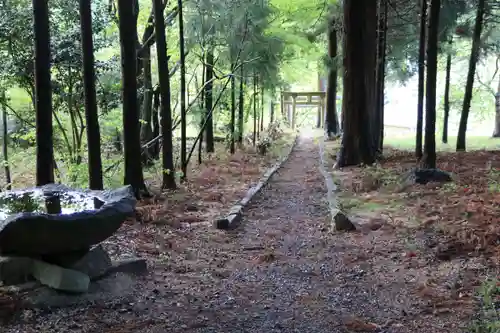 鷲神社の景色