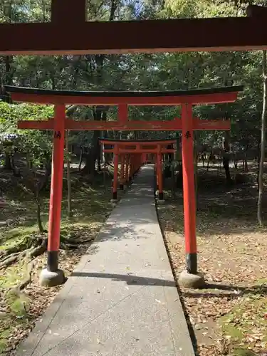 橿原神宮の鳥居