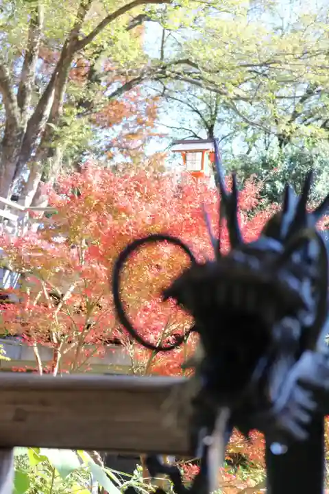 明王院(満願寺別院)の自然