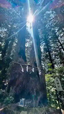 玉置神社(奈良県)