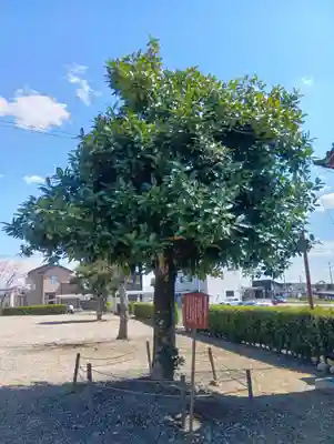 大梅寺(岐阜県)