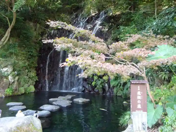 玉簾神社の自然