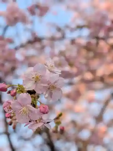 蓮華寺(東京都)