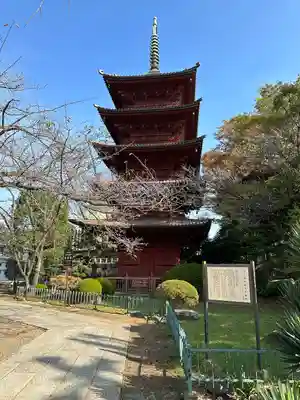 法華経寺(千葉県)