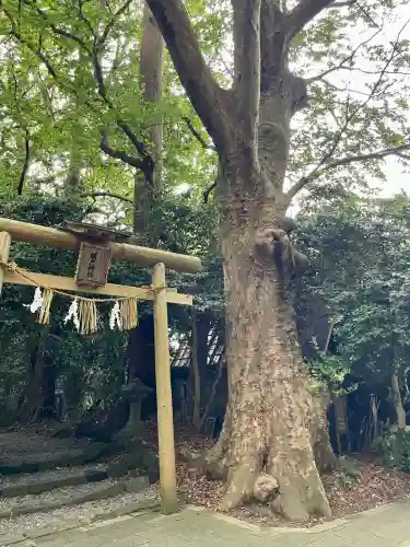 祓戸神社(新潟県)