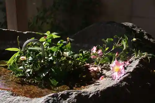 愛宕神社の手水舎