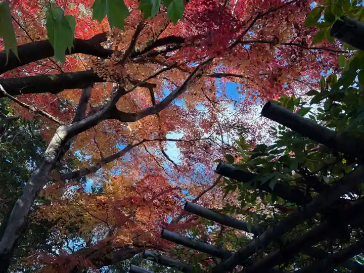 詩仙堂(丈山寺)(京都府)