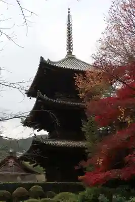 園城寺（三井寺）(滋賀県)