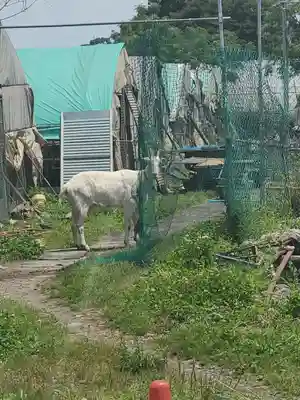 三日月神社の動物