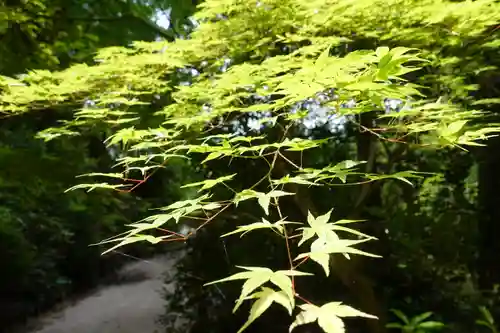 船宿寺の自然