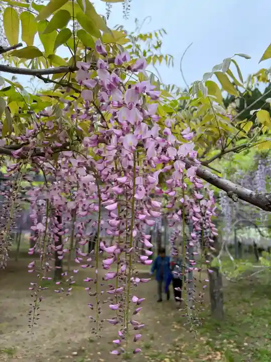 和気神社の{uncategorized: "未分類", other: "その他", undefined: "問題あり", building: "その他建物", grave: "お墓", sacred_gate: "鳥居", guardian: "狛犬", statue: "像", buddha: "仏像", history: "歴史", nature: "自然", garden: "庭園", animal: "動物", pagoda: "塔", temizu: "手水舎", mountain_gate: "山門・神門", sanctuary: "本殿・本堂", subordinate: "末社・摂社", art: "芸術", scenery: "景色", jizo: "地蔵", ema: "絵馬", goshuin: "御朱印", omikuji: "おみくじ", items: "授与品その他", amulet: "お守り", goshuincho: "御朱印帳", eats: "食事", festival: "お祭り", votive_dance: "神楽", shichigosan: "七五三参", wedding: "結婚式", experience: "体験その他", initially: "初詣", around: "周辺", anti_infection: "感染症対策"}