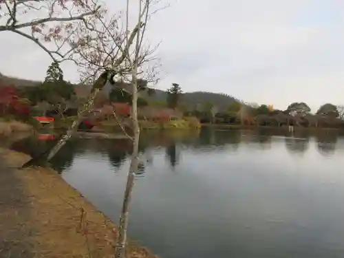 大覚寺(京都府)