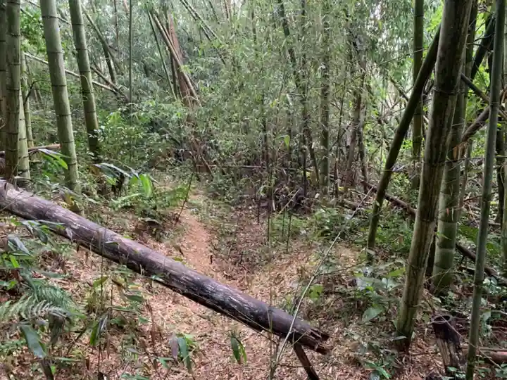 琴平神社の周辺