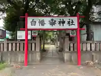 白幡神社(千葉県)
