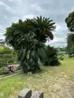 静間神社(島根県)
