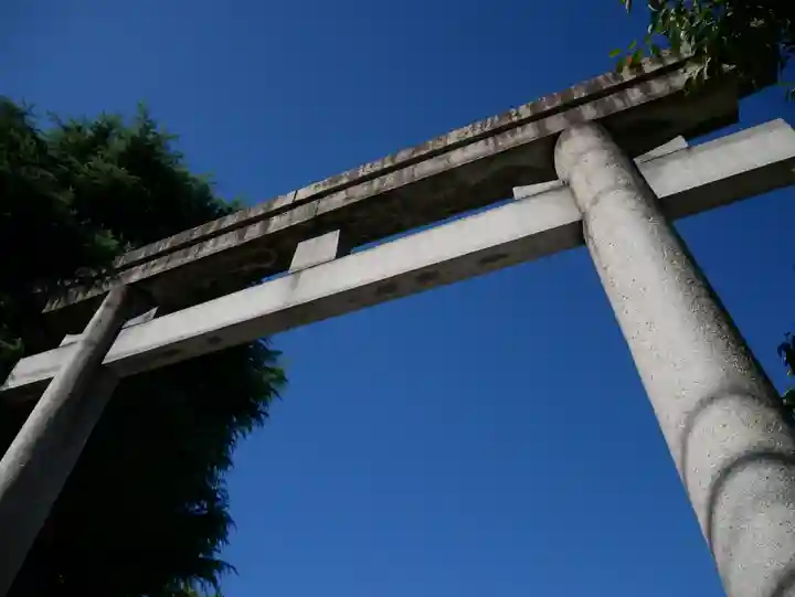 玉姫稲荷神社の鳥居