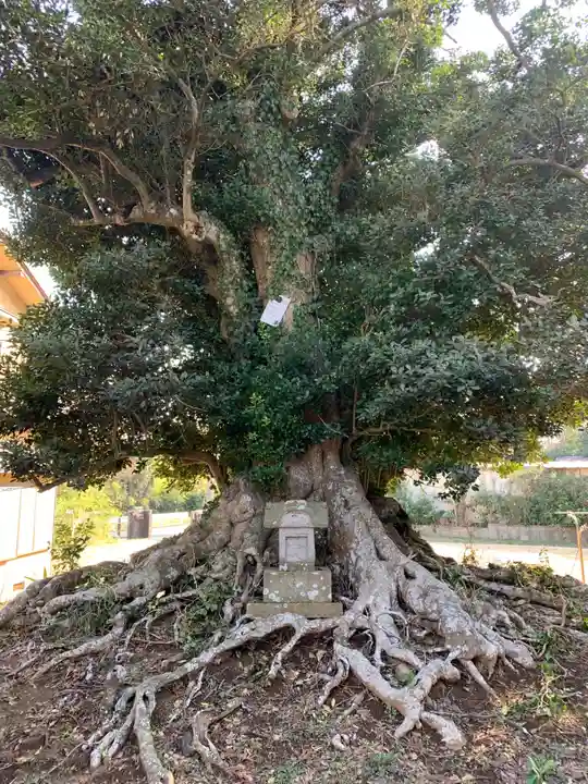 円性寺(千葉県)