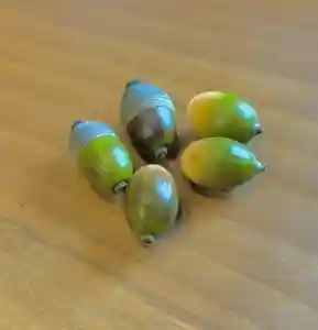 蚊里田八幡宮(長野県)(2024年10月22日(火) 12時58分33秒投稿)