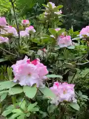 牟禮山観音禅寺の自然