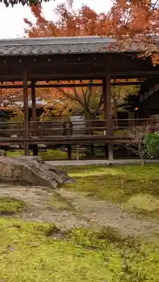 建仁寺（建仁禅寺）(京都府)