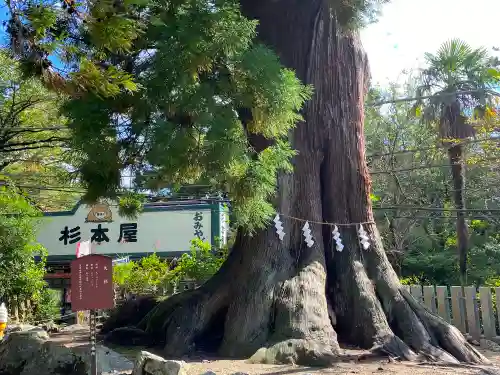 筑波山神社の自然