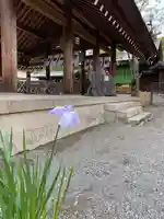 和泉國一之宮 大鳥大社の自然