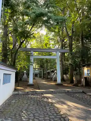 南荻窪天祖神社(東京都)