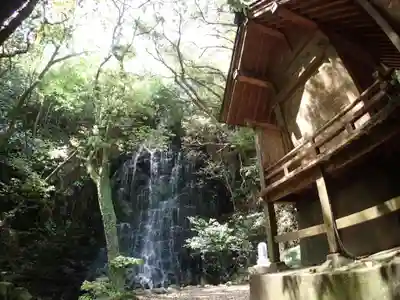 瀧神社(都農神社末社(奥宮))の本殿・本堂